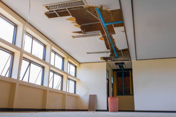 Best Flooded house restoration  in New Albany, OH