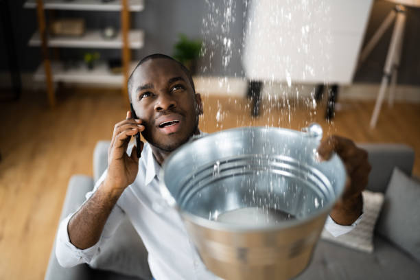 Best Professional water damage repair  in New Albany, OH