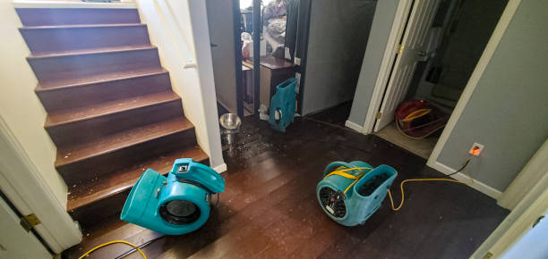 Best Fire Damage Restoration  in New Albany, OH