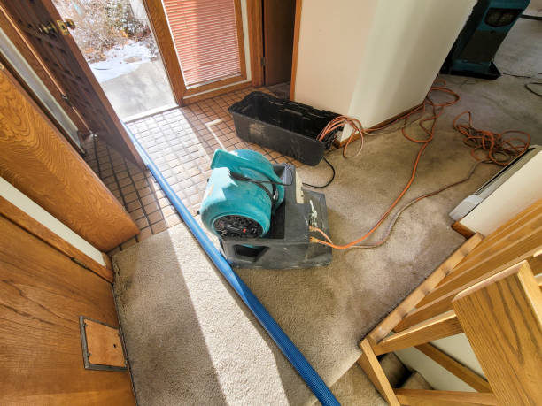 Best Water damage contractors near me  in New Albany, OH