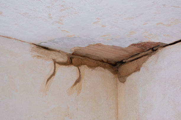Best Mold removal after water damage  in New Albany, OH