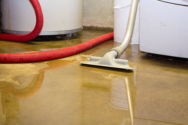 Best Carpet water damage restoration  in New Albany, OH