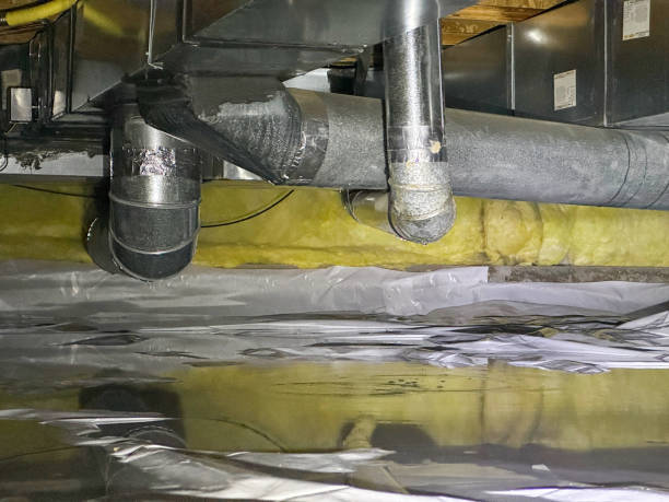 Best Ceiling water damage repair  in New Albany, OH