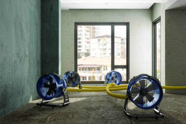 Best Local water damage restoration  in New Albany, OH